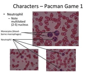 Characters – Pacman Game 1 ,[object Object],[object Object],Neutrophil Monocytes (blood-borne macrophages) 