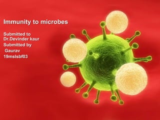 Immunity to microbes
Submitted to
Dr.Devinder kaur
Submitted by
Gaurav
19mslsbf03
 
