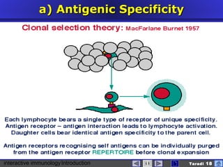 interactive immunologyIntroduction Taradi 18
a)a) AntigenicAntigenic SSpecificitypecificity
 