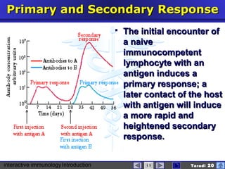 interactive immunologyIntroduction Taradi 20
Primary and SecondaryPrimary and Secondary RResponseesponse
 The initial encounter ofThe initial encounter of
a naivea naive
immunocompetentimmunocompetent
lymphocyte with anlymphocyte with an
antigen induces aantigen induces a
primary response; aprimary response; a
later contact of the hostlater contact of the host
with antigen will inducewith antigen will induce
a more rapid anda more rapid and
heightened secondaryheightened secondary
response.response.
 