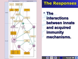 interactive immunologyIntroduction Taradi 28
The ResponsesThe Responses
 TheThe
interactionsinteractions
between innatebetween innate
and acquiredand acquired
immunityimmunity
mechanisms.mechanisms.
 