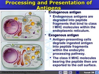 interactive immunologyIntroduction Taradi 39
Processing and Presentation ofProcessing and Presentation of
AntigensAntigens
 Endogenous antigenEndogenous antigen
 Endogenous antigens are
degraded into peptide
fragments that bind to class
I MHC molecules within the
endoplasmic reticulum.
 Exogenous antigenExogenous antigen
 Antigen-presenting cells
degrade ingested antigen
into peptide fragments
within the endocytic
processing pathway.
 The class II MHC molecules
bearing the peptide then are
exported to the cell surface.
 