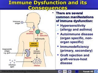 interactive immunologyIntroduction Taradi 42
Immune Dysfunction andImmune Dysfunction and iitsts
ConsequencesConsequences
 There are severalThere are several
common manifestationscommon manifestations
of immune dysfunction:of immune dysfunction:
 Hypersensitivity
(allergy and asthma)
 Autoimmune disease
(organ specific, non-
organ specific)
 Immunodeficiency
(primary, secondary)
 Graft rejection and
graft-versus-host
disease
 