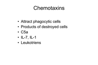 Chemotaxins Attract phagocytic cells Products of destroyed cells C5a IL-7, IL-1 Leukotriens 