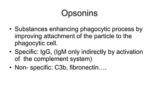 Opsonins Substances enhancing phagocytic process by improving attachment of the particle to the phagocytic cell. Spec ific : IgG, (IgM only indirectly by activation of  the complement system) Non- speci f ic: C3b, fibronectin….  