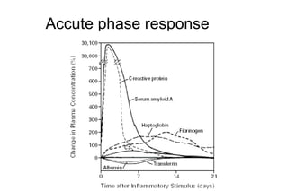 Accute phase response  