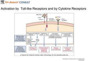 Downloaded from: StudentConsult (on 19 July 2006 06:34 AM) © 2005 Elsevier  Activation by  Toll-like Receptors and by Cytokine Receptors 