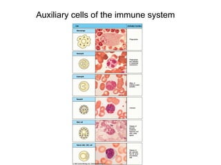 Immunology i introduction | PPT