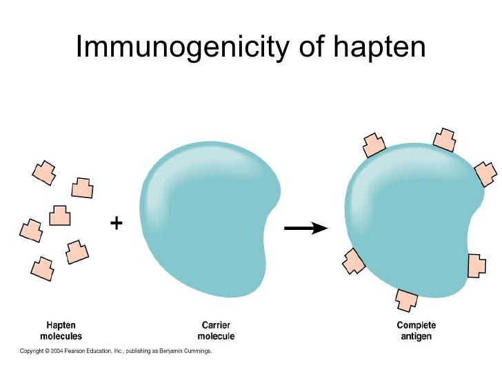 Immunology i introduction