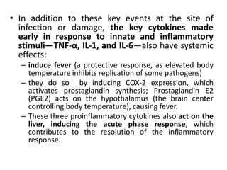 • In addition to these key events at the site of
infection or damage, the key cytokines made
early in response to innate and inflammatory
stimuli—TNF-α, IL-1, and IL-6—also have systemic
effects:
– induce fever (a protective response, as elevated body
temperature inhibits replication of some pathogens)
– they do so by inducing COX-2 expression, which
activates prostaglandin synthesis; Prostaglandin E2
(PGE2) acts on the hypothalamus (the brain center
controlling body temperature), causing fever.
– These three proinflammatory cytokines also act on the
liver, inducing the acute phase response, which
contributes to the resolution of the inflammatory
response.
 