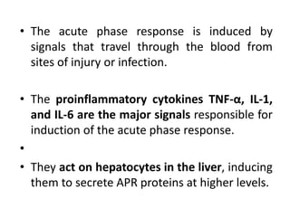 • The acute phase response is induced by
signals that travel through the blood from
sites of injury or infection.
• The proinflammatory cytokines TNF-α, IL-1,
and IL-6 are the major signals responsible for
induction of the acute phase response.
•
• They act on hepatocytes in the liver, inducing
them to secrete APR proteins at higher levels.
 