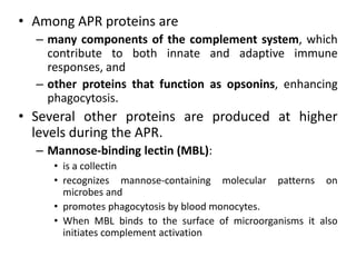 • Among APR proteins are
– many components of the complement system, which
contribute to both innate and adaptive immune
responses, and
– other proteins that function as opsonins, enhancing
phagocytosis.
• Several other proteins are produced at higher
levels during the APR.
– Mannose-binding lectin (MBL):
• is a collectin
• recognizes mannose-containing molecular patterns on
microbes and
• promotes phagocytosis by blood monocytes.
• When MBL binds to the surface of microorganisms it also
initiates complement activation
 