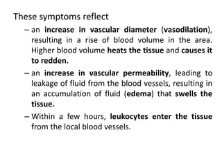 These symptoms reflect
– an increase in vascular diameter (vasodilation),
resulting in a rise of blood volume in the area.
Higher blood volume heats the tissue and causes it
to redden.
– an increase in vascular permeability, leading to
leakage of fluid from the blood vessels, resulting in
an accumulation of fluid (edema) that swells the
tissue.
– Within a few hours, leukocytes enter the tissue
from the local blood vessels.
 