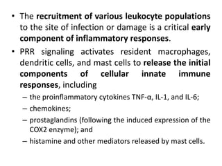 • The recruitment of various leukocyte populations
to the site of infection or damage is a critical early
component of inflammatory responses.
• PRR signaling activates resident macrophages,
dendritic cells, and mast cells to release the initial
components of cellular innate immune
responses, including
– the proinflammatory cytokines TNF-α, IL-1, and IL-6;
– chemokines;
– prostaglandins (following the induced expression of the
COX2 enzyme); and
– histamine and other mediators released by mast cells.
 