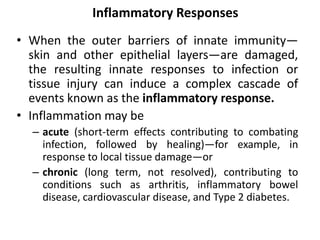 Inflammatory Responses
• When the outer barriers of innate immunity—
skin and other epithelial layers—are damaged,
the resulting innate responses to infection or
tissue injury can induce a complex cascade of
events known as the inflammatory response.
• Inflammation may be
– acute (short-term effects contributing to combating
infection, followed by healing)—for example, in
response to local tissue damage—or
– chronic (long term, not resolved), contributing to
conditions such as arthritis, inflammatory bowel
disease, cardiovascular disease, and Type 2 diabetes.
 