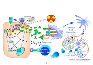 28
10.1016/j.molmed.2013.05.007
 