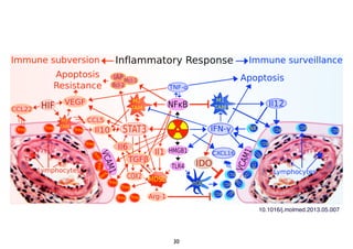 30
10.1016/j.molmed.2013.05.007
 