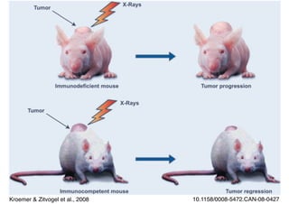 10.1158/0008-5472.CAN-08-0427Kroemer & Zitvogel et al., 2008
 