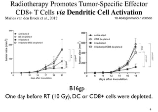 Radiotherapy Promotes Tumor-Speciﬁc Effector
CD8+ T Cells via Dendritic Cell Activation
10.4049/jimmunol.1200563Maries van den Broek et al., 2012
One day before RT (10 Gy), DC or CD8+ cells were depleted.
6
B16gp
 