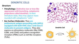 Comprehensive Introduction to Immunology: Immune System Functions and ...