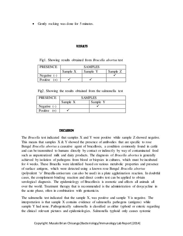 Sample of laboratory report