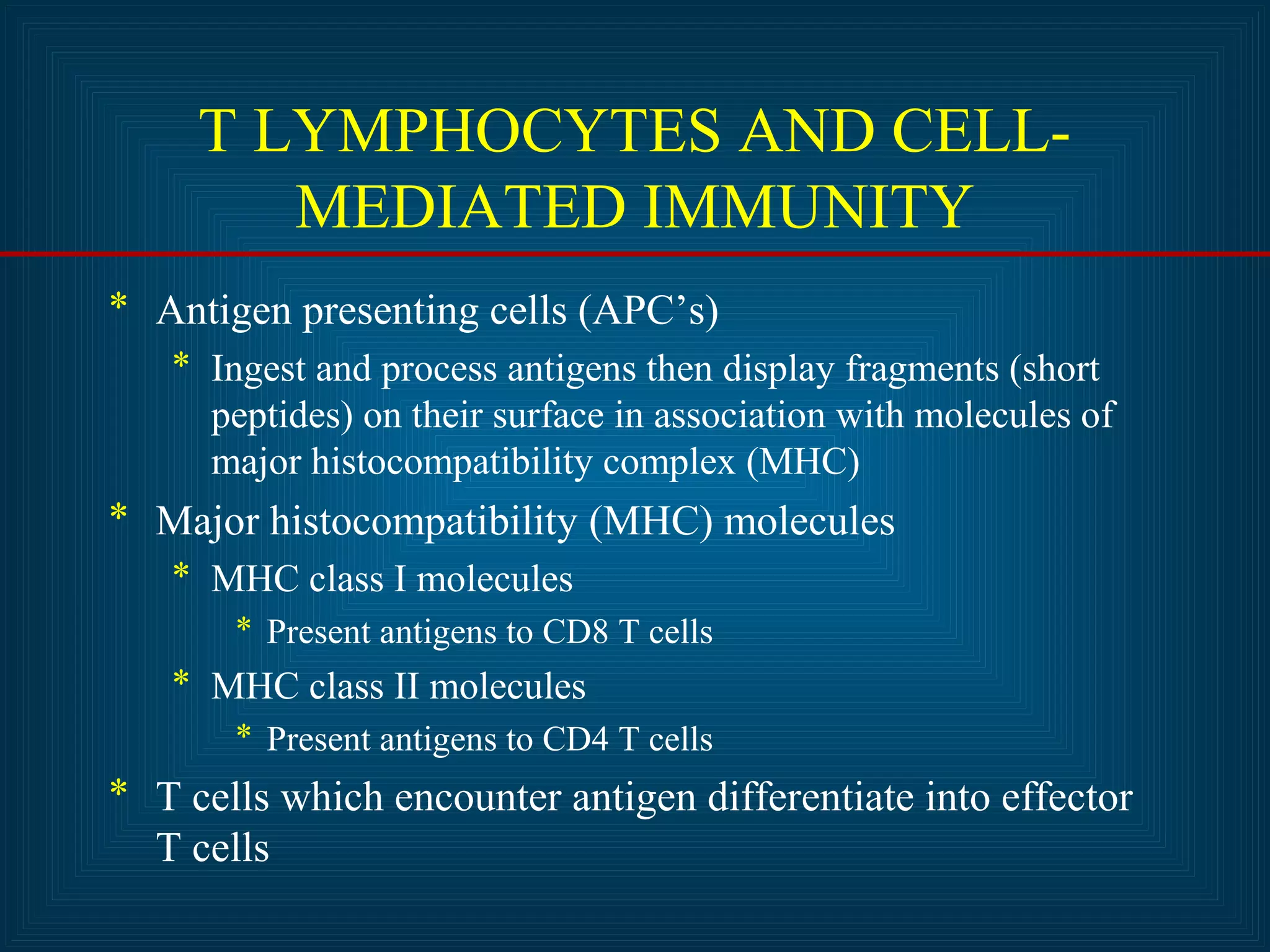 T LYMPHOCYTES AND CELL-MEDIATED 
IMMUNITY 
* Antigen presenting cells (APC’s) 
* Ingest and process antigens then display fragments (short 
peptides) on their surface in association with molecules of 
major histocompatibility complex (MHC) 
* Major histocompatibility (MHC) molecules 
* MHC class I molecules 
* Present antigens to CD8 T cells 
* MHC class II molecules 
* Present antigens to CD4 T cells 
* T cells which encounter antigen differentiate into effector 
T cells 
 