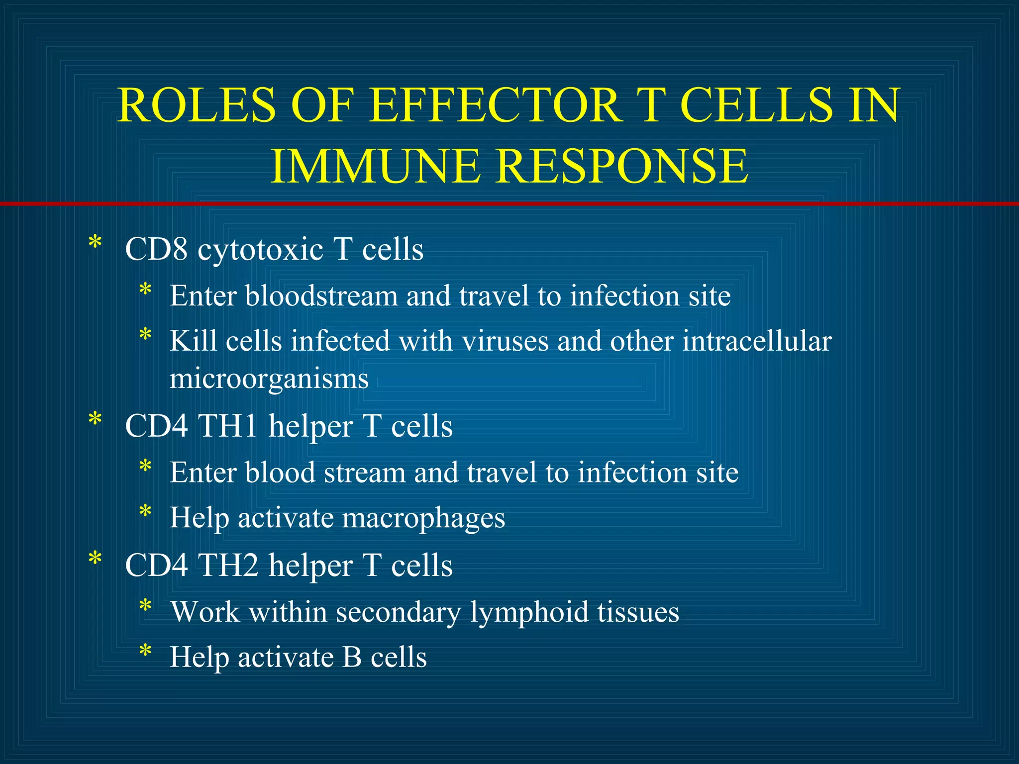 ROLES OF EFFECTOR T CELLS IN 
IMMUNE RESPONSE 
* CD8 cytotoxic T cells 
* Enter bloodstream and travel to infection site 
* Kill cells infected with viruses and other intracellular 
microorganisms 
* CD4 TH1 helper T cells 
* Enter blood stream and travel to infection site 
* Help activate macrophages 
* CD4 TH2 helper T cells 
* Work within secondary lymphoid tissues 
* Help activate B cells 
 