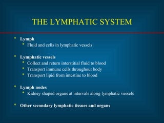 THE LYMPHATIC SYSTEM 
* Lymph 
* Fluid and cells in lymphatic vessels 
* Lymphatic vessels 
* Collect and return interstitial fluid to blood 
* Transport immune cells throughout body 
* Transport lipid from intestine to blood 
* Lymph nodes 
* Kidney shaped organs at intervals along lymphatic vessels 
* Other secondary lymphatic tissues and organs 
 