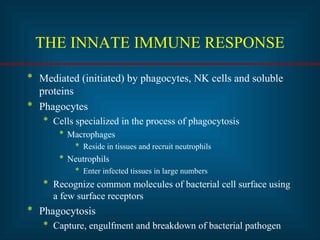 THE INNATE IMMUNE RESPONSE 
* Mediated (initiated) by phagocytes, NK cells and soluble 
proteins 
* Phagocytes 
* Cells specialized in the process of phagocytosis 
* Macrophages 
* Reside in tissues and recruit neutrophils 
* Neutrophils 
* Enter infected tissues in large numbers 
* Recognize common molecules of bacterial cell surface using 
a few surface receptors 
* Phagocytosis 
* Capture, engulfment and breakdown of bacterial pathogen 
 