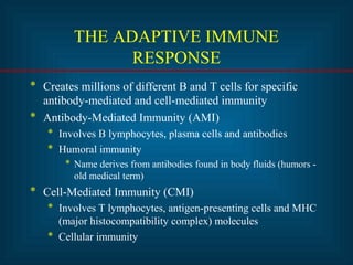 THE ADAPTIVE IMMUNE 
RESPONSE 
* Creates millions of different B and T cells for specific 
antibody-mediated and cell-mediated immunity 
* Antibody-Mediated Immunity (AMI) 
* Involves B lymphocytes, plasma cells and antibodies 
* Humoral immunity 
* Name derives from antibodies found in body fluids (humors - 
old medical term) 
* Cell-Mediated Immunity (CMI) 
* Involves T lymphocytes, antigen-presenting cells and MHC 
(major histocompatibility complex) molecules 
* Cellular immunity 
 