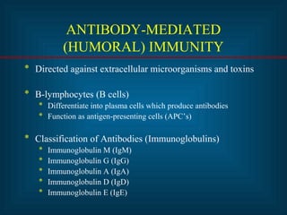 ANTIBODY-MEDIATED 
(HUMORAL) IMMUNITY 
* Directed against extracellular microorganisms and toxins 
* B-lymphocytes (B cells) 
* Differentiate into plasma cells which produce antibodies 
* Function as antigen-presenting cells (APC’s) 
* Classification of Antibodies (Immunoglobulins) 
* Immunoglobulin M (IgM) 
* Immunoglobulin G (IgG) 
* Immunoglobulin A (IgA) 
* Immunoglobulin D (IgD) 
* Immunoglobulin E (IgE) 
 