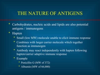 THE NATURE OF ANTIGENS 
* Carbohydrates, nucleic acids and lipids are also potential 
antigens / immunogens 
* Hapten 
* Small (low MW) molecule unable to elicit immune response 
* Combines with larger carrier molecule which together 
function as immunogen 
* Antibody may react independently with hapten following 
hapten/carrier adaptive immune response 
* Example 
* Penicillin G (MW of 372) 
* Albumin (MW of 66,000) 
 