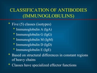 CLASSIFICATION OF ANTIBODIES 
(IMMUNOGLOBULINS) 
* Five (5) classes (isotypes) 
* Immunoglobulin A (IgA) 
* Immunoglobulin G (IgG) 
* Immunoglobulin M (IgM) 
* Immunoglobulin D (IgD) 
* Immunoglobulin E (IgE) 
* Based on structural differences in constant regions 
of heavy chains 
* Classes have specialized effector functions 
 
