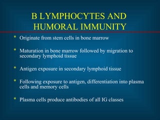 B LYMPHOCYTES AND 
HUMORAL IMMUNITY 
* Originate from stem cells in bone marrow 
* Maturation in bone marrow followed by migration to 
secondary lymphoid tissue 
* Antigen exposure in secondary lymphoid tissue 
* Following exposure to antigen, differentiation into plasma 
cells and memory cells 
* Plasma cells produce antibodies of all IG classes 
 