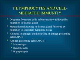 T LYMPHOCYTES AND CELL-MEDIATED 
IMMUNITY 
* Originate from stem cells in bone marrow followed by 
migration to thymus gland 
* Maturation takes place in thymus gland followed by 
migration to secondary lymphoid tissue 
* Respond to antigens on the surface of antigen presenting 
cells (APC’s) 
* Antigen presenting cells (APC’s) 
* Macrophages 
* Dendritic cells 
* B lymphocytes 
 