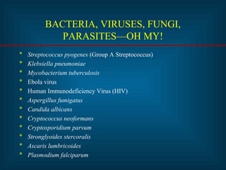 BACTERIA, VIRUSES, FUNGI, 
PARASITES—OH MY! 
* Streptococcus pyogenes (Group A Streptococcus) 
* Klebsiella pneumoniae 
* Mycobacterium tuberculosis 
* Ebola virus 
* Human Immunodeficiency Virus (HIV) 
* Aspergillus fumigatus 
* Candida albicans 
* Cryptococcus neoformans 
* Cryptosporidium parvum 
* Stronglyoides stercoralis 
* Ascaris lumbricoides 
* Plasmodium falciparum 
 