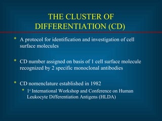 THE CLUSTER OF 
DIFFERENTIATION (CD) 
* A protocol for identification and investigation of cell 
surface molecules 
* CD number assigned on basis of 1 cell surface molecule 
recognized by 2 specific monoclonal antibodies 
* CD nomenclature established in 1982 
* 1st International Workshop and Conference on Human 
Leukocyte Differentiation Antigens (HLDA) 
 