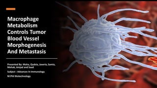 Macrophage
Metabolism
Controls Tumor
Blood Vessel
Morphogenesis
And Metastasis
Presented By: Maha, Qudsia, Javeria, Samia,
Mehak, Amjad and Saad
Subject : Advances In Immunology
M.Phil Biotechnology
 
