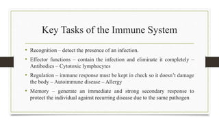 Key Tasks of the Immune System
• Recognition – detect the presence of an infection.
• Effector functions – contain the infection and eliminate it completely –
Antibodies – Cytotoxic lymphocytes
• Regulation – immune response must be kept in check so it doesn’t damage
the body – Autoimmune disease – Allergy
• Memory – generate an immediate and strong secondary response to
protect the individual against recurring disease due to the same pathogen
 
