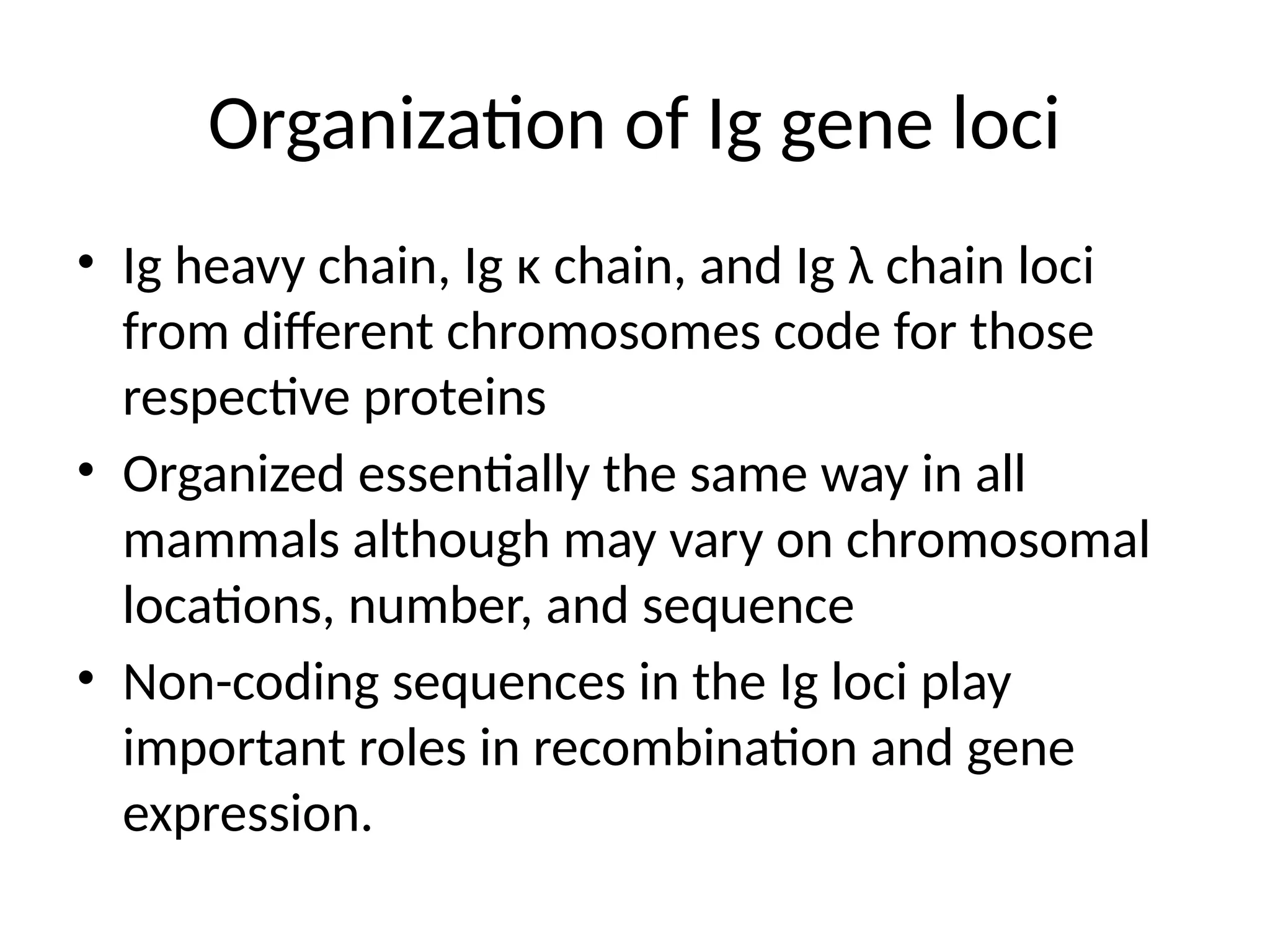 Organization of Ig gene loci
• Ig heavy chain, Ig κ chain, and Ig λ chain loci
from different chromosomes code for those
respective proteins
• Organized essentially the same way in all
mammals although may vary on chromosomal
locations, number, and sequence
• Non-coding sequences in the Ig loci play
important roles in recombination and gene
expression.
 