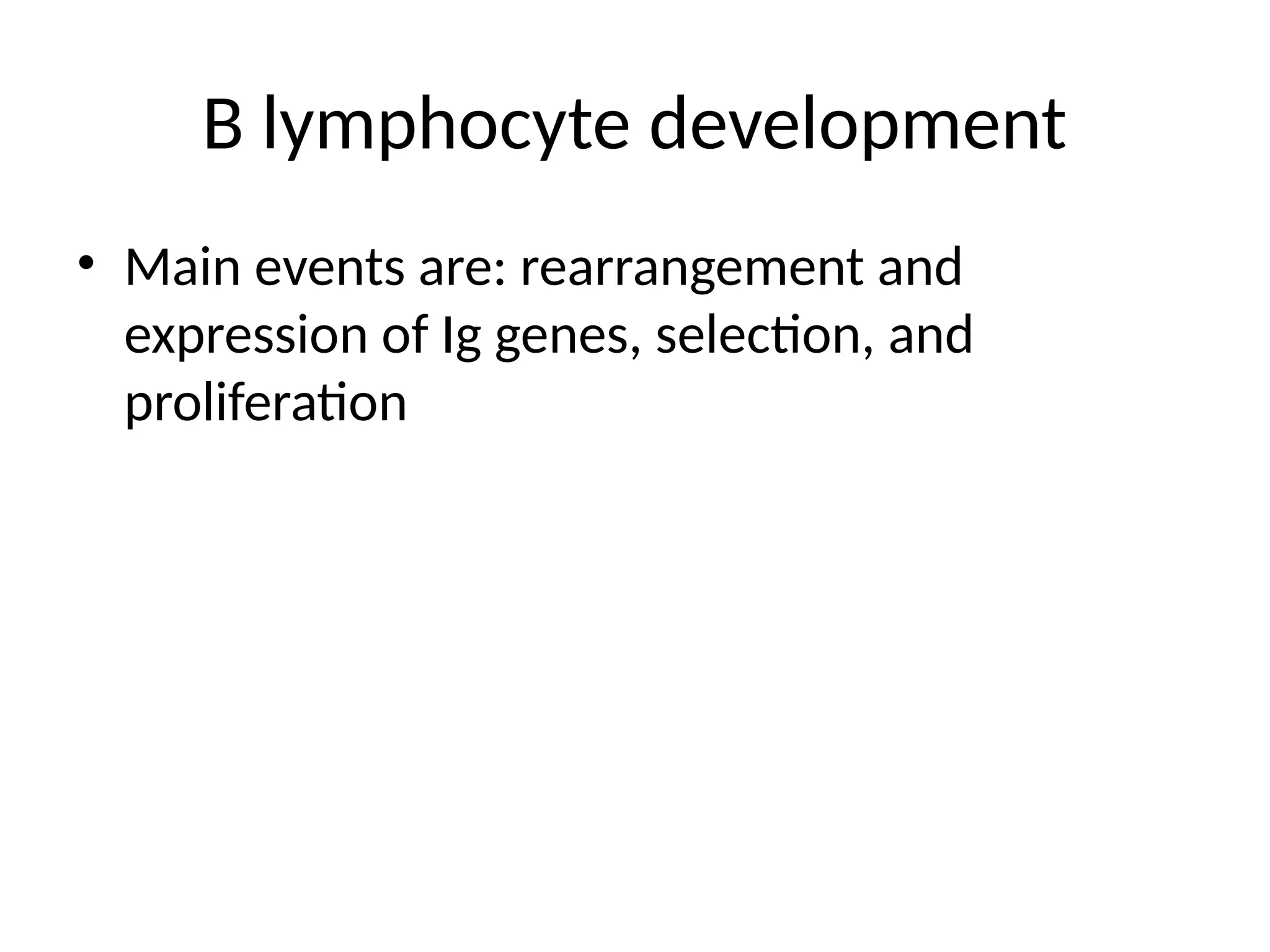 B lymphocyte development
• Main events are: rearrangement and
expression of Ig genes, selection, and
proliferation
 