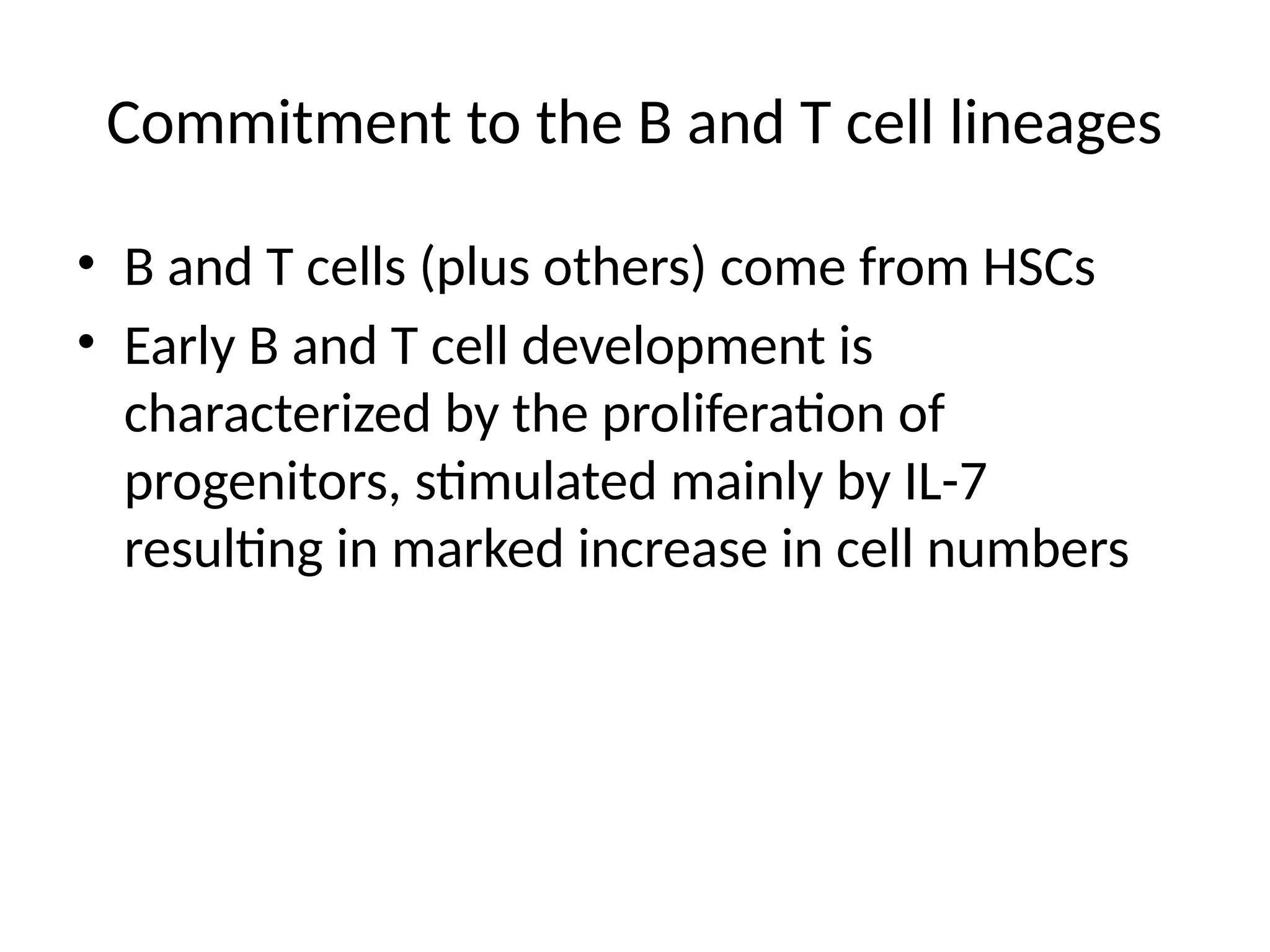 Commitment to the B and T cell lineages
• B and T cells (plus others) come from HSCs
• Early B and T cell development is
characterized by the proliferation of
progenitors, stimulated mainly by IL-7
resulting in marked increase in cell numbers
 