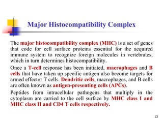 The major histocompatibility complex (MHC) is a set of genes
that code for cell surface proteins essential for the acquired
immune system to recognize foreign molecules in vertebrates,
which in turn determines histocompatibility.
Once a T-cell response has been initiated, macrophages and B
cells that have taken up specific antigen also become targets for
armed effector T cells. Dendritic cells, macrophages, and B cells
are often known as antigen-presenting cells (APCs).
Peptides from intracellular pathogens that multiply in the
cytoplasm are carried to the cell surface by MHC class I and
MHC class II and CD4 T cells respectively.
Major Histocompatibility Complex
13
 