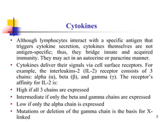 • Although lymphocytes interact with a specific antigen that
triggers cytokine secretion, cytokines themselves are not
antigen-specific; thus, they bridge innate and acquired
immunity. They may act in an autocrine or paracrine manner.
• Cytokines deliver their signals via cell surface receptors. For
example, the interleukins-2 (IL-2) receptor consists of 3
chains: alpha (α), beta (β), and gamma (γ). The receptor’s
affinity for IL-2 is:
• High if all 3 chains are expressed
• Intermediate if only the beta and gamma chains are expressed
• Low if only the alpha chain is expressed
• Mutations or deletion of the gamma chain is the basis for X-
linked
Cytokines
3
 
