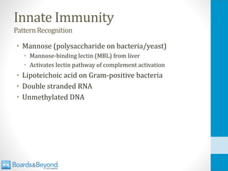 Innate Immunity
PatternRecognition
• Mannose (polysaccharide on bacteria/yeast)
• Mannose-binding lectin (MBL) from liver
• Activates lectin pathway of complement activation
• Lipoteichoic acid on Gram-positive bacteria
• Double stranded RNA
• Unmethylated DNA
 