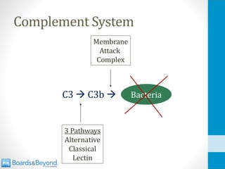 Complement System
C3 → C3b → Bacteria
3 Pathways
Alternative
Classical
Lectin
Membrane
Attack
Complex
 