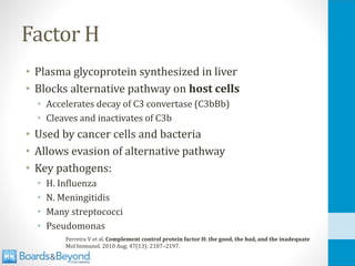Factor H
• Plasma glycoprotein synthesized in liver
• Blocks alternative pathway on host cells
• Accelerates decay of C3 convertase (C3bBb)
• Cleaves and inactivates of C3b
• Used by cancer cells and bacteria
• Allows evasion of alternative pathway
• Key pathogens:
• H. Influenza
• N. Meningitidis
• Many streptococci
• Pseudomonas
Ferreira V et al. Complement control protein factor H: the good, the bad, and the inadequate
Mol Immunol. 2010 Aug; 47(13): 2187–2197.
 