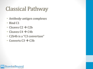 Classical Pathway
• Antibody-antigen complexes
• Bind C1
• Cleaves C2 → C2b
• Cleaves C4 → C4b
• C2b4b is a “C3 convertase”
• Converts C3 → C3b
 