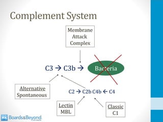 Complement System
C3 → C3b → Bacteria
Alternative
Spontaneous
Membrane
Attack
Complex
C2 → C2b C4b  C4
Lectin
MBL
Classic
C1
 
