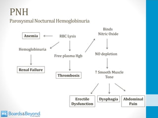 PNH
ParoxysmalNocturnalHemoglobinuria
RBC Lysis
Anemia
Hemoglobinuria
Free plasma Hgb
Thrombosis
Binds
Nitric Oxide
NO depletion
↑ Smooth Muscle
Tone
Erectile
Dysfunction
Dysphagia Abdominal
Pain
Renal Failure
 